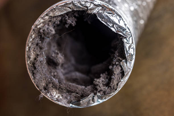Best Air Duct Cleaning Near Me  in Tton, IL